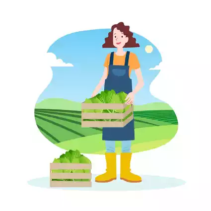 Ar-Service /Services/webp/ambalaj.webp